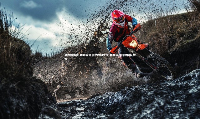 易胜博体育-哈利魔术点燃胜利之火 精神支柱铸就团队辉煌