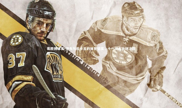 易胜博体育-伊布与皮卡丘的体育盛宴，十一项大比拼决胜局