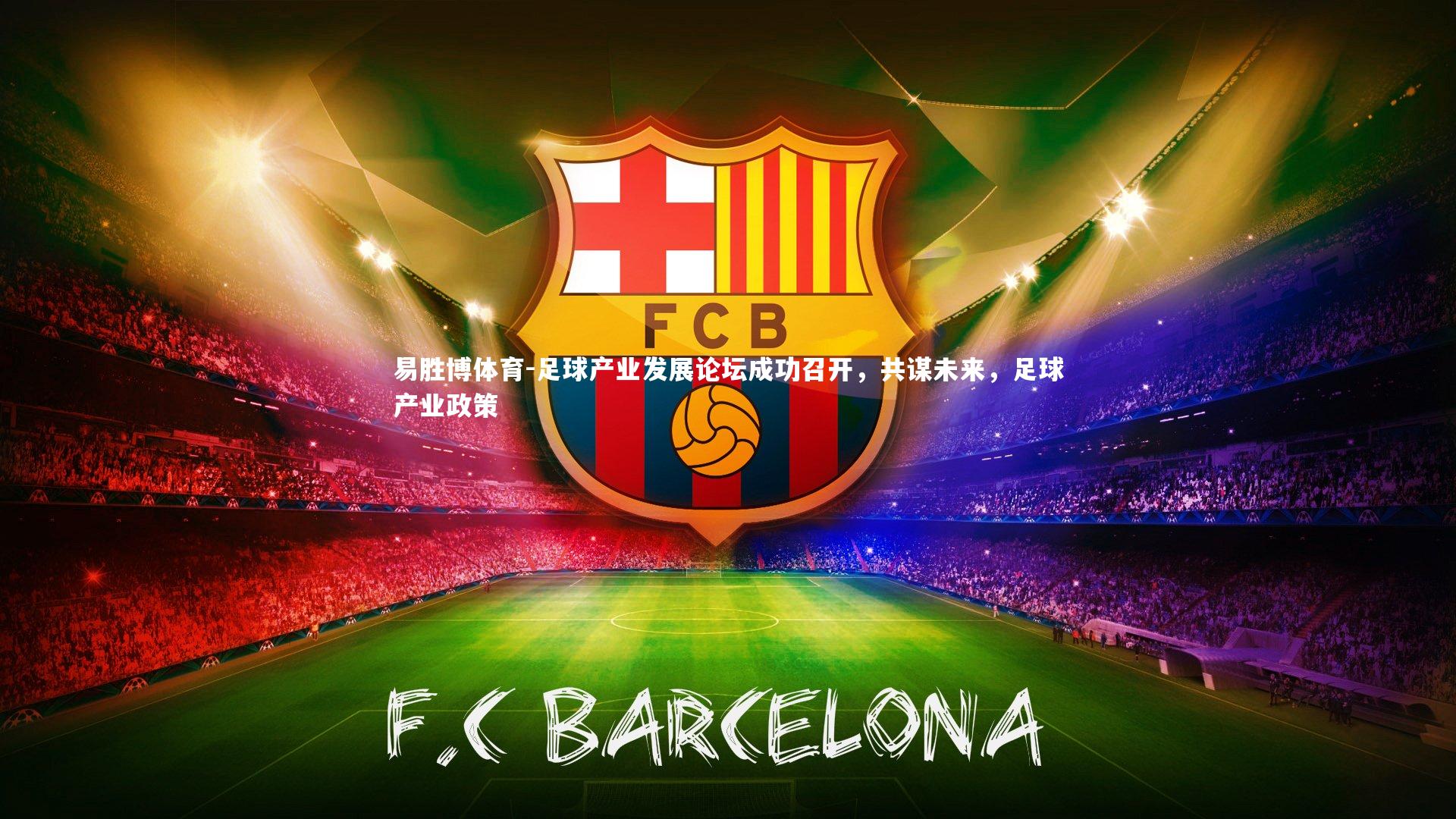 易胜博体育-足球产业发展论坛成功召开，共谋未来，足球产业政策