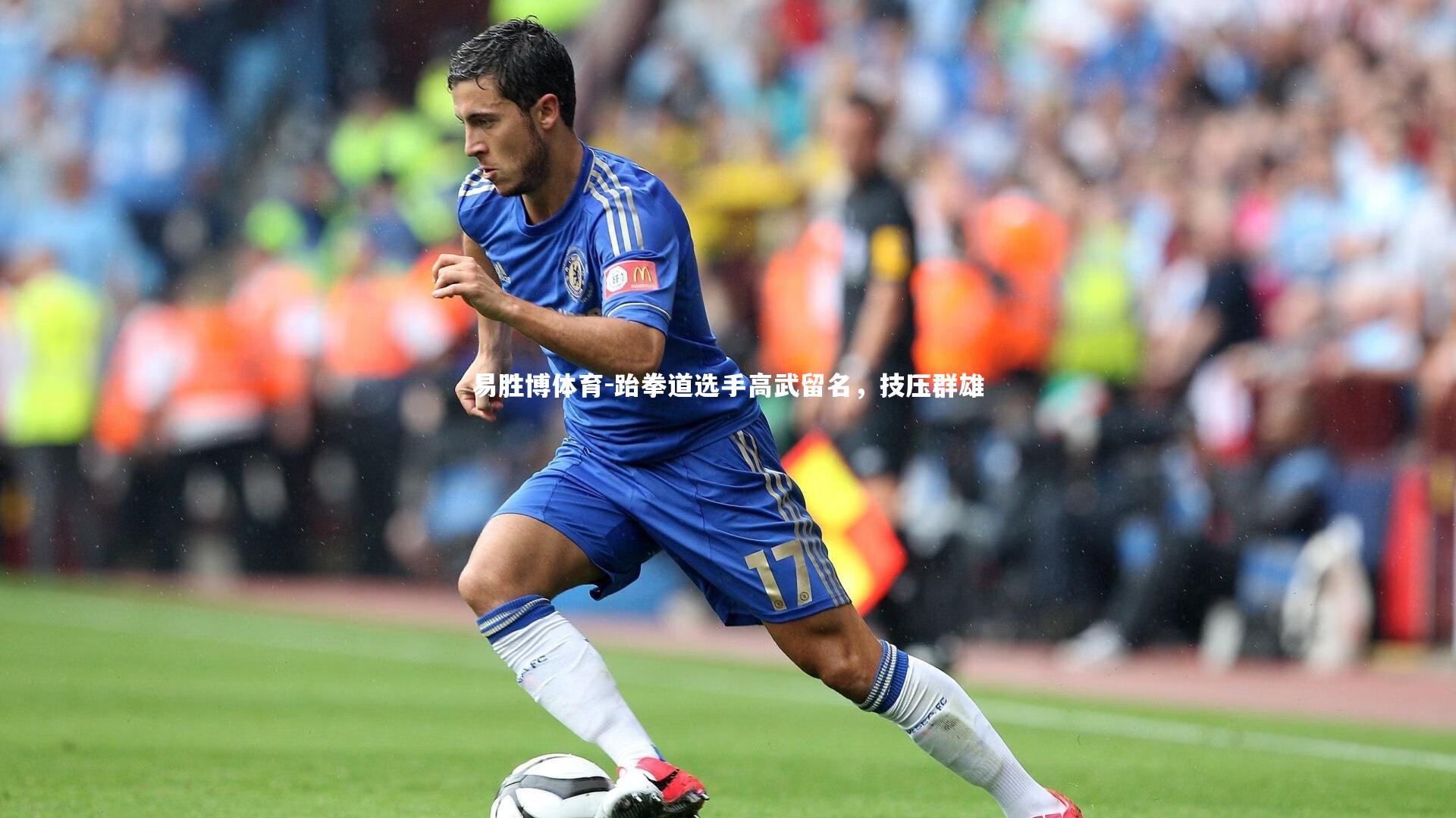 跆拳道选手高武留名，技压群雄