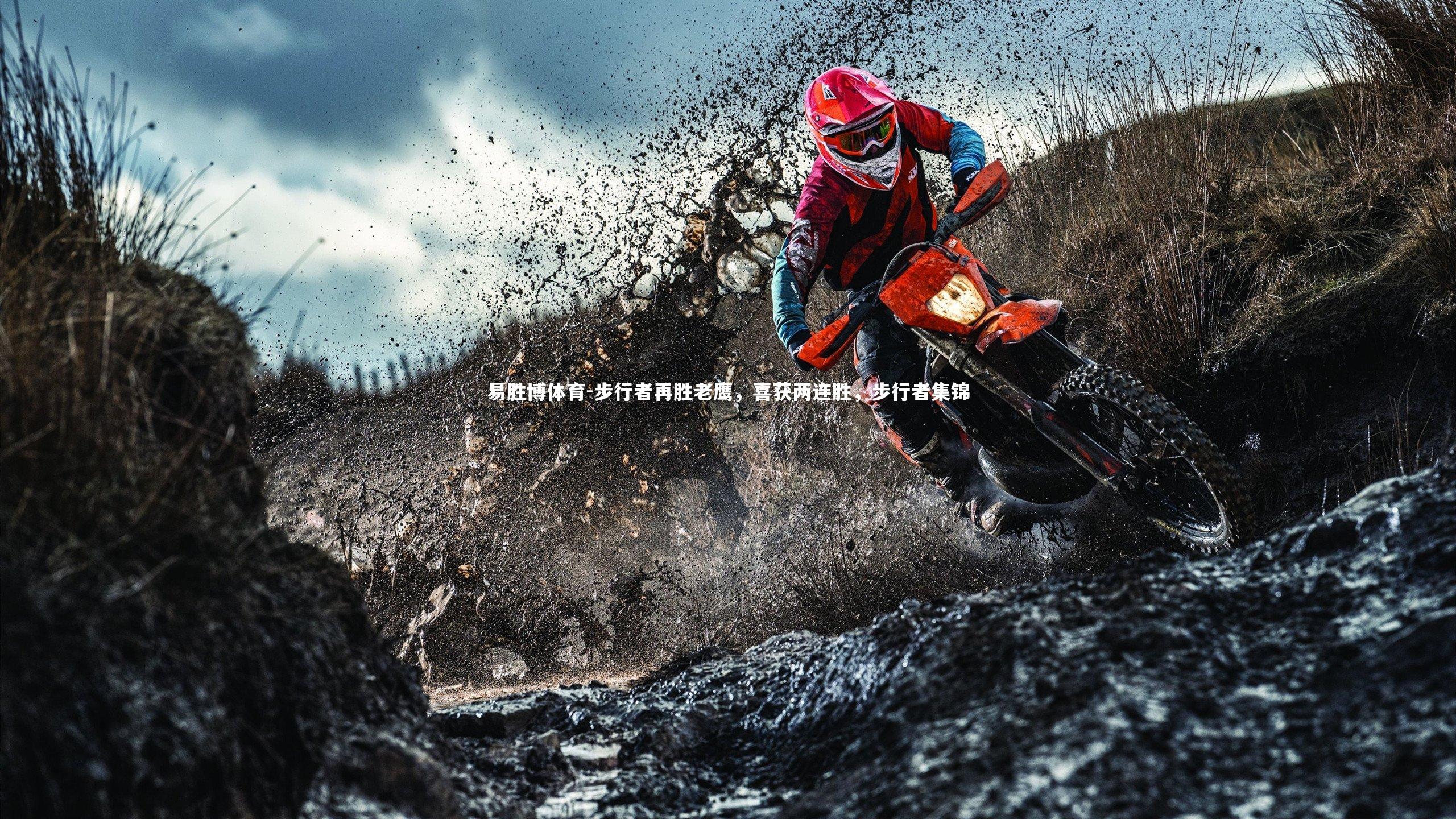 步行者再胜老鹰，喜获两连胜，步行者集锦