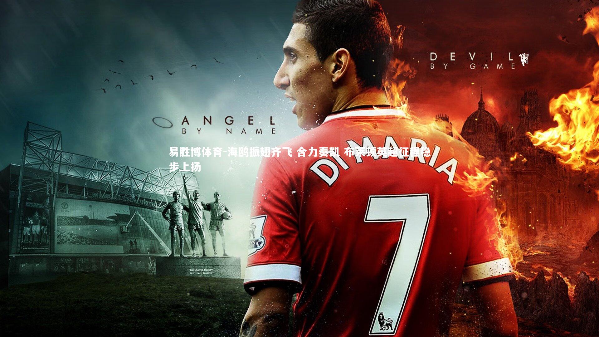 海鸥振翅齐飞 合力奏凯 布莱顿英超征程稳步上扬