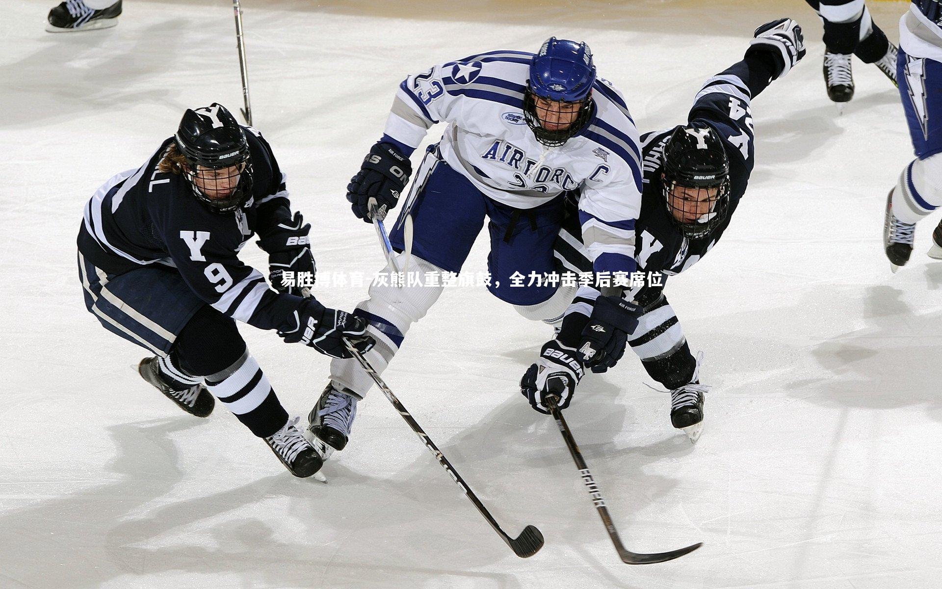 灰熊队重整旗鼓,全力冲击季后赛席位